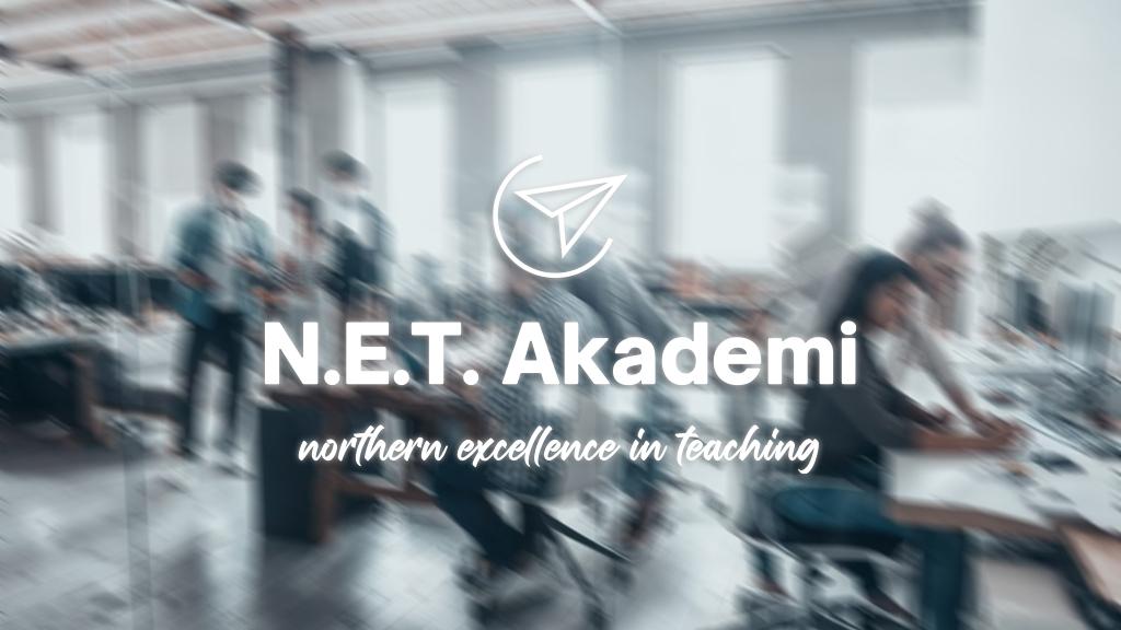 Northern Excellence in Teaching